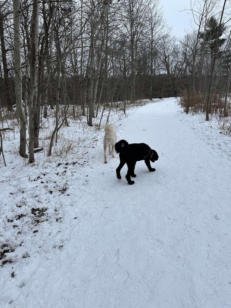 Bronte Creek Leash-free Dog Park dog park in Burlington, Ontario