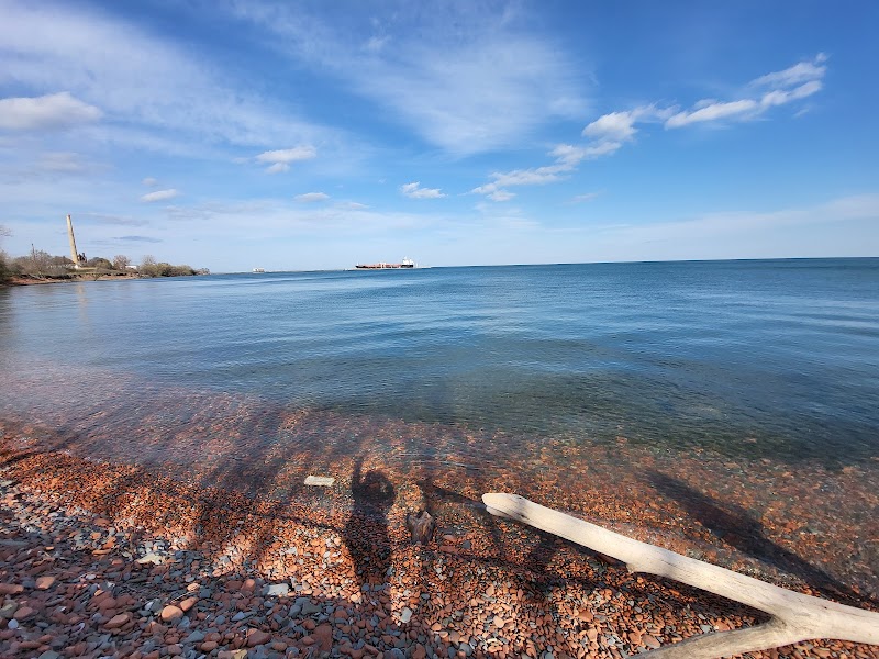 Lakeside Dog Park dog park in Mississauga, Ontario