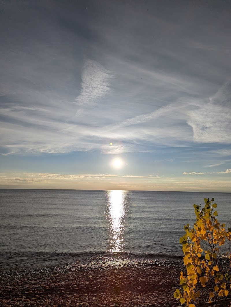 Lakeside Dog Park dog park in Mississauga, Ontario