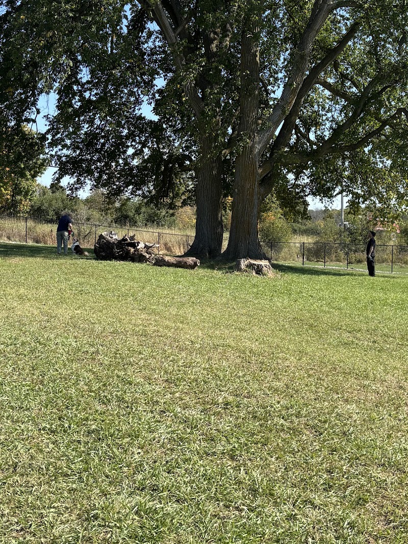 Darou Farm Off Leash Dog Park dog park in Perth, Ontario