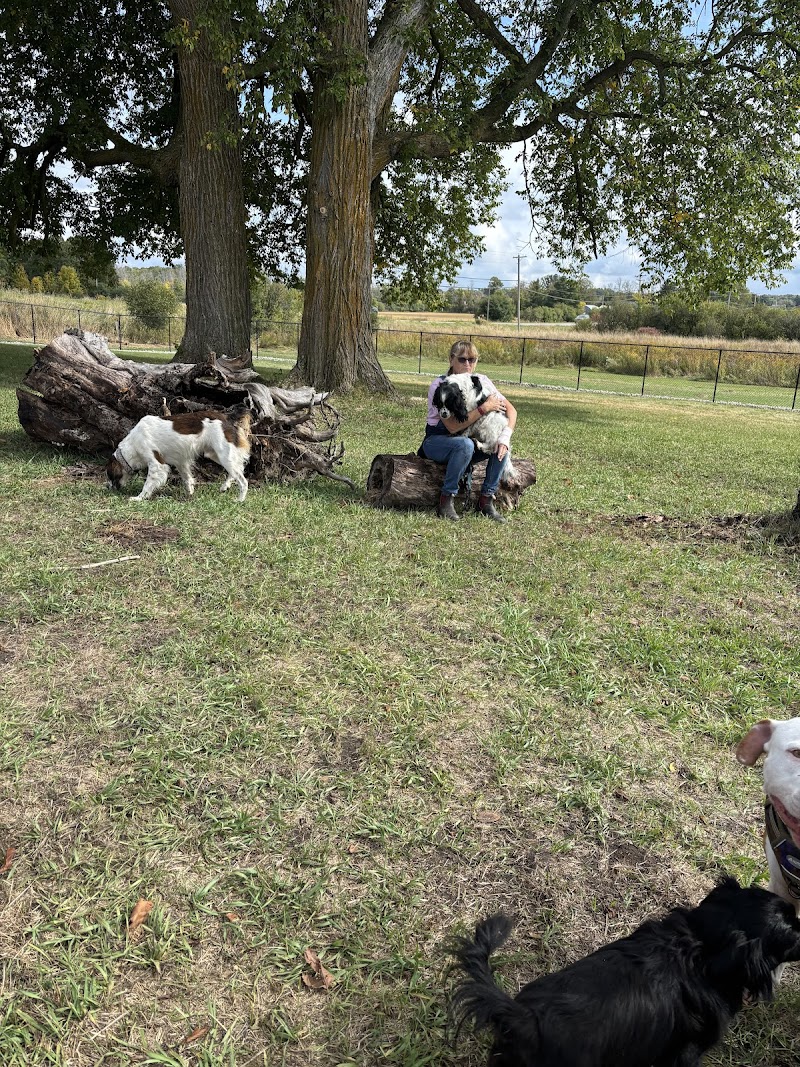 Darou Farm Off Leash Dog Park dog park in Perth, Ontario