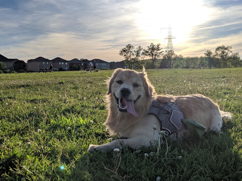 Parkway Belt Dog Park dog park in Mississauga, Ontario