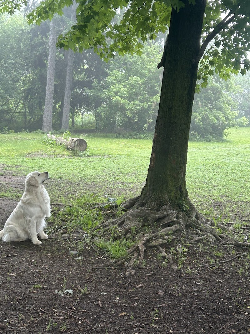 Totoredaca Dog Park dog park in Mississauga, Ontario