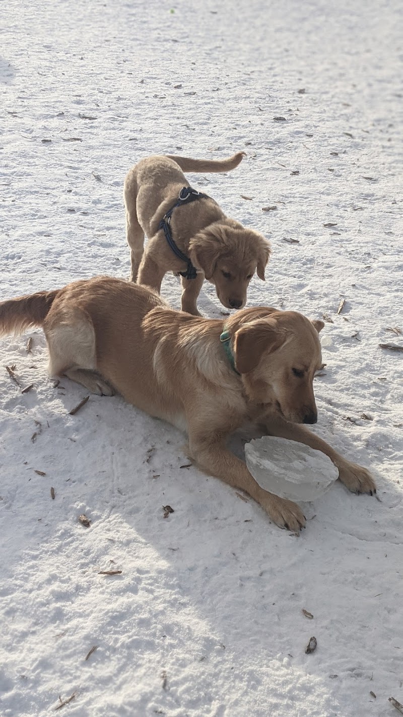 Carleton Place Dog Park dog park in Carleton Place, Ontario
