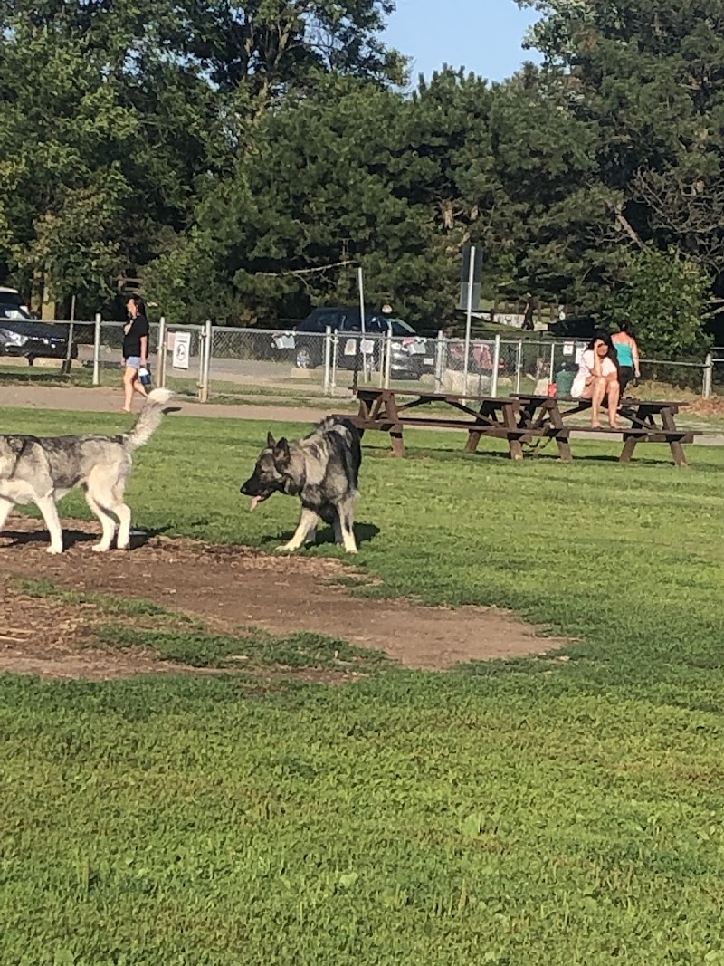 Shell Dog Park dog park in Oakville, Ontario