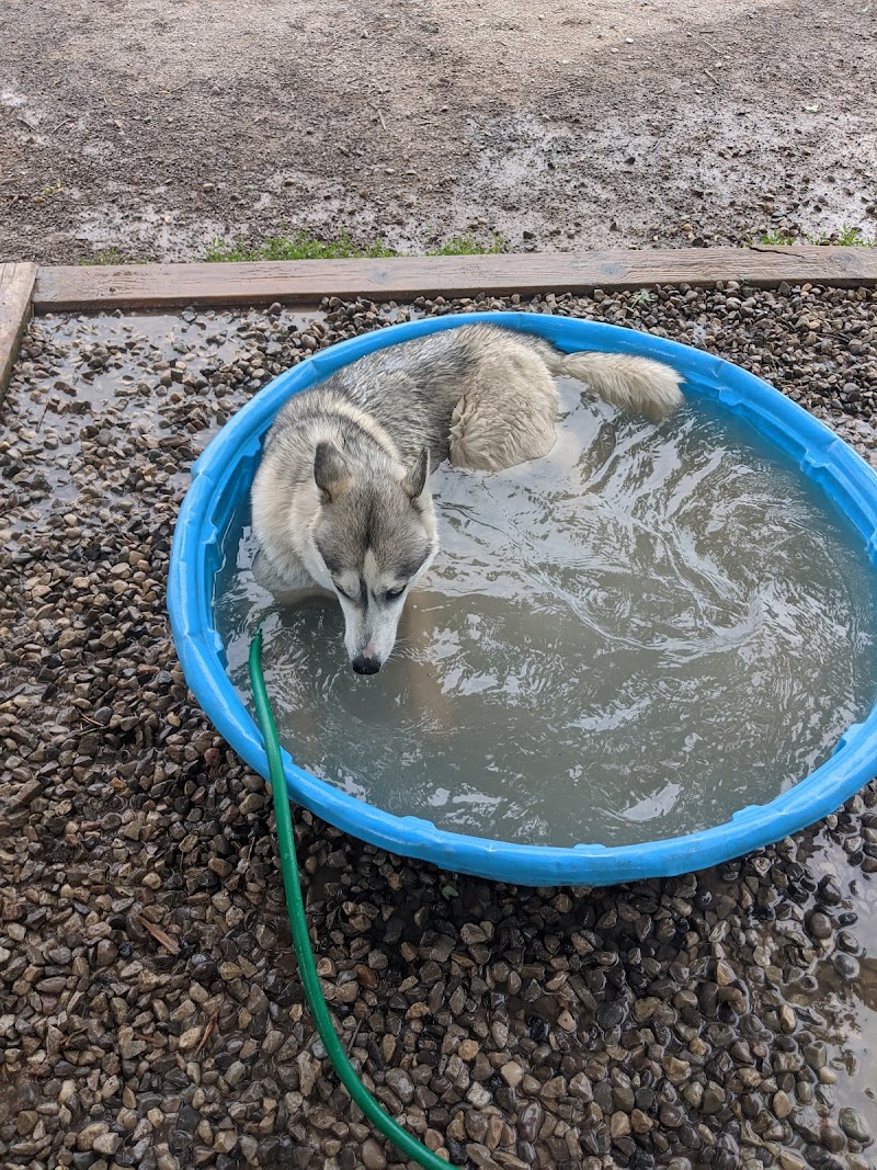 Shell Dog Park dog park in Oakville, Ontario