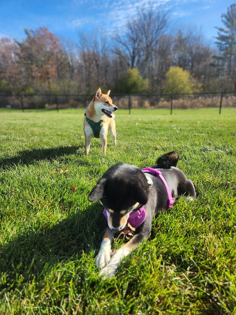 Churchill Meadows Leash-Free Dog Park dog park in Mississauga, Ontario
