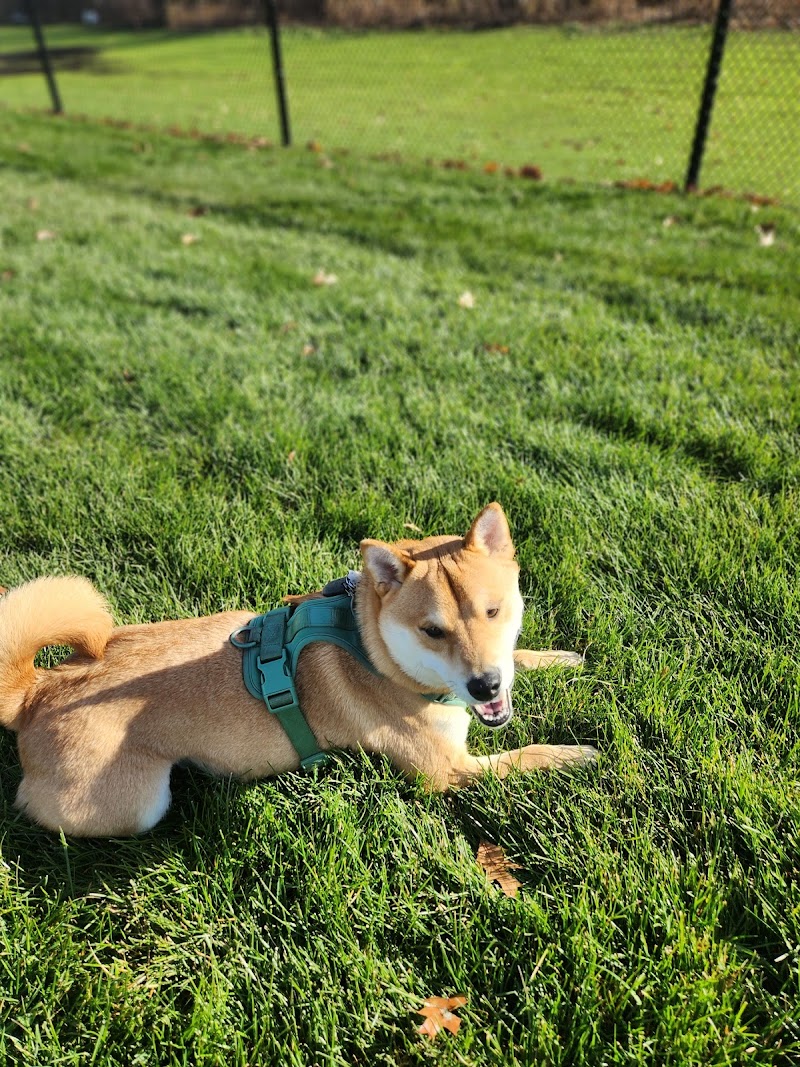 Churchill Meadows Leash-Free Dog Park dog park in Mississauga, Ontario