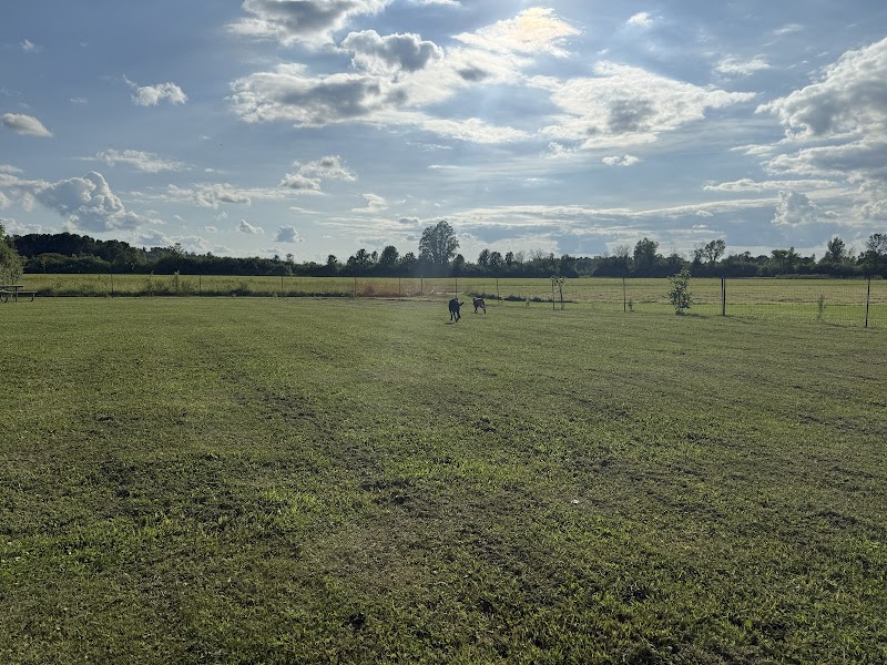 Ma-te-way Dog Park dog park in Renfrew, Ontario