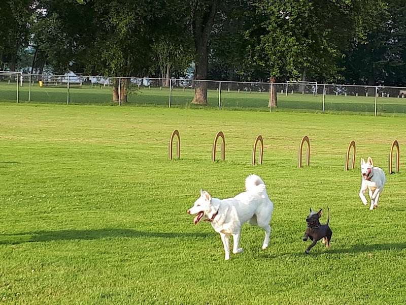 The Bark Park dog park in Pembroke, Ontario
