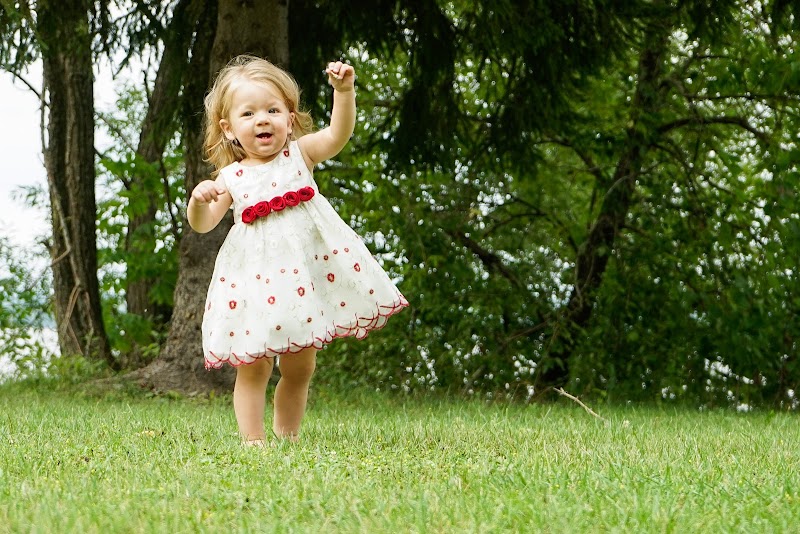 The Bark Park dog park in Pembroke, Ontario