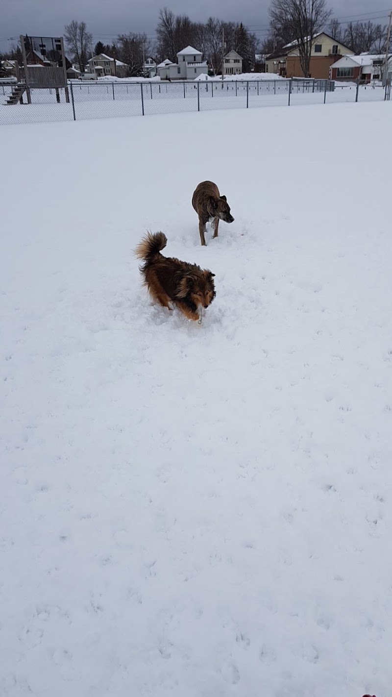 The Bark Park dog park in Pembroke, Ontario