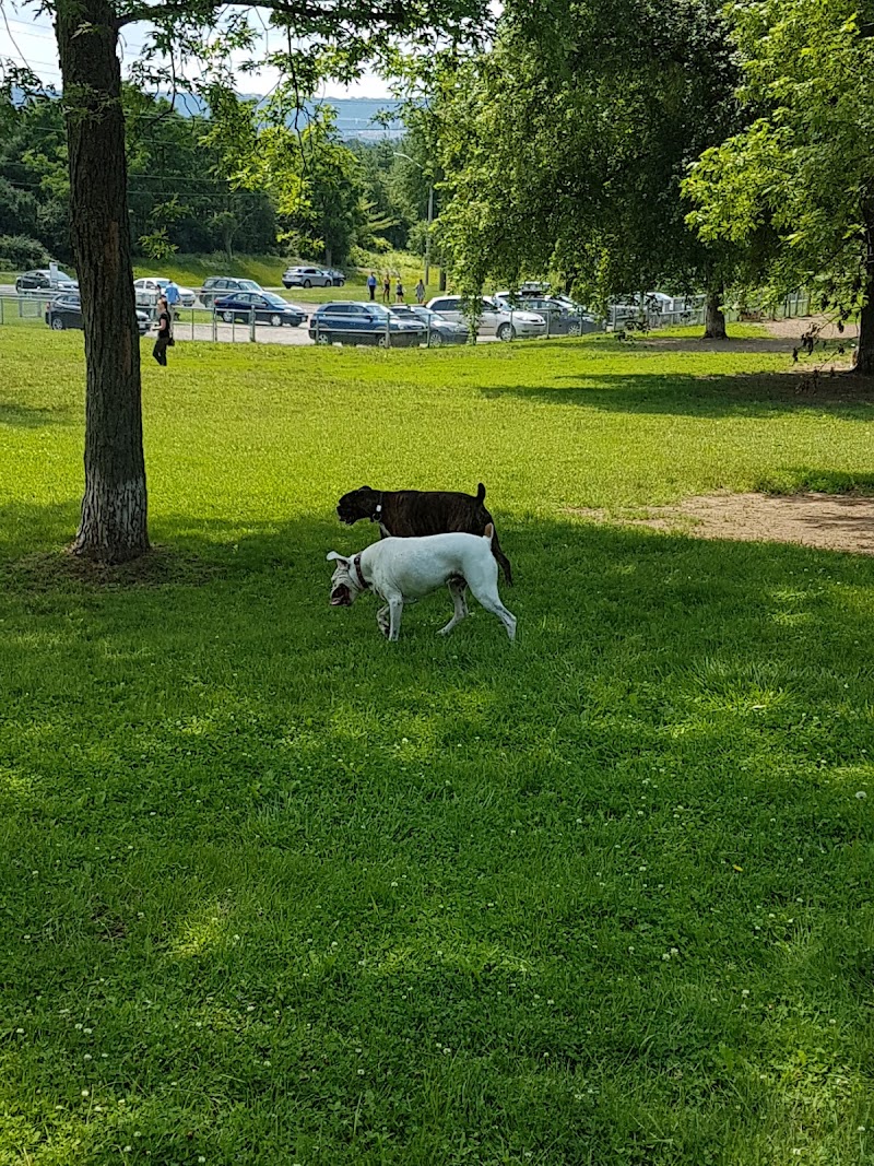 Borer's Falls Dog Park dog park in Dundas, Ontario