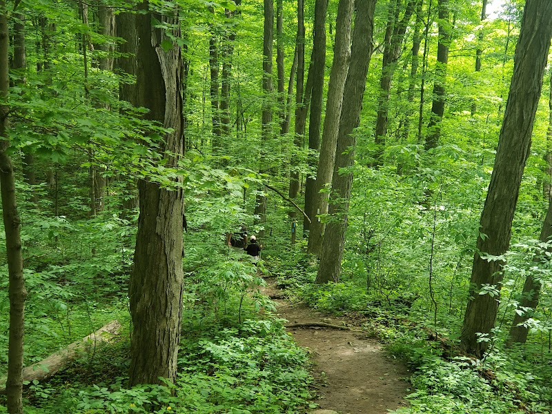 Borer's Falls Dog Park dog park in Dundas, Ontario