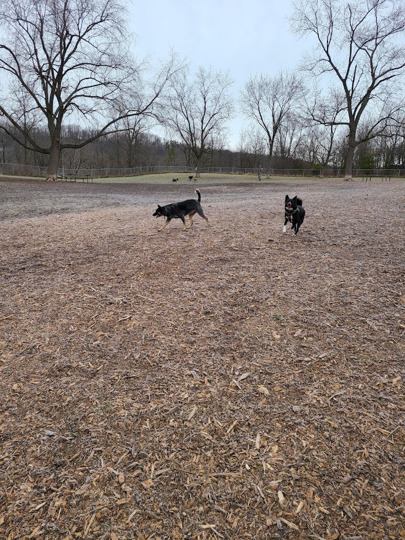 Borer's Falls Dog Park dog park in Dundas, Ontario