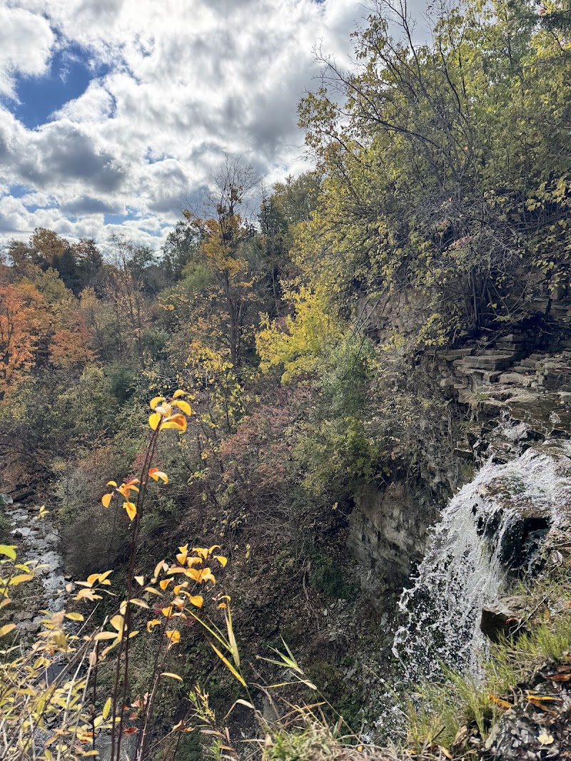 Borer's Falls Dog Park dog park in Dundas, Ontario