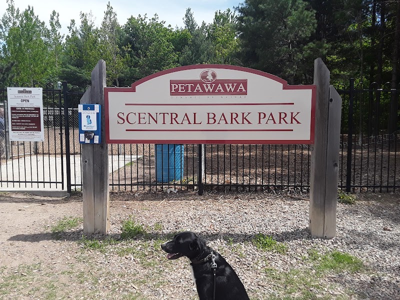 Scentral Bark Park dog park in Petawawa, Ontario