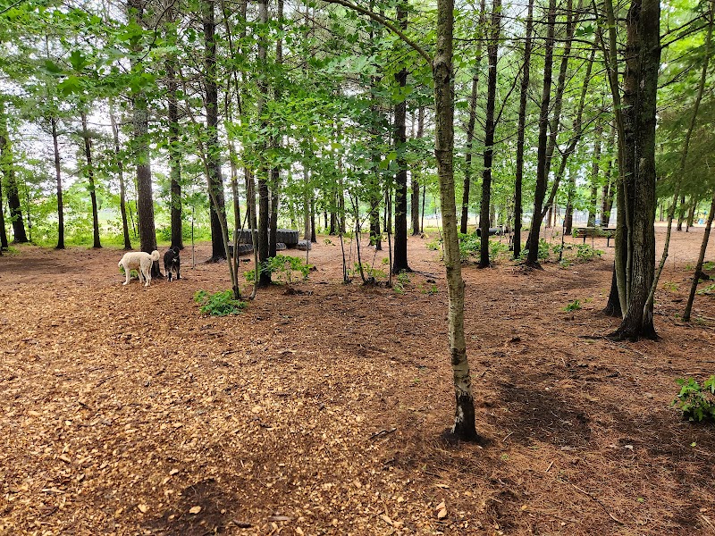 Scentral Bark Park dog park in Petawawa, Ontario