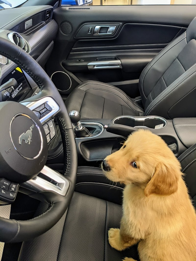 Dog Park at Ken Knapp Ford dog park in Lakeshore, Ontario