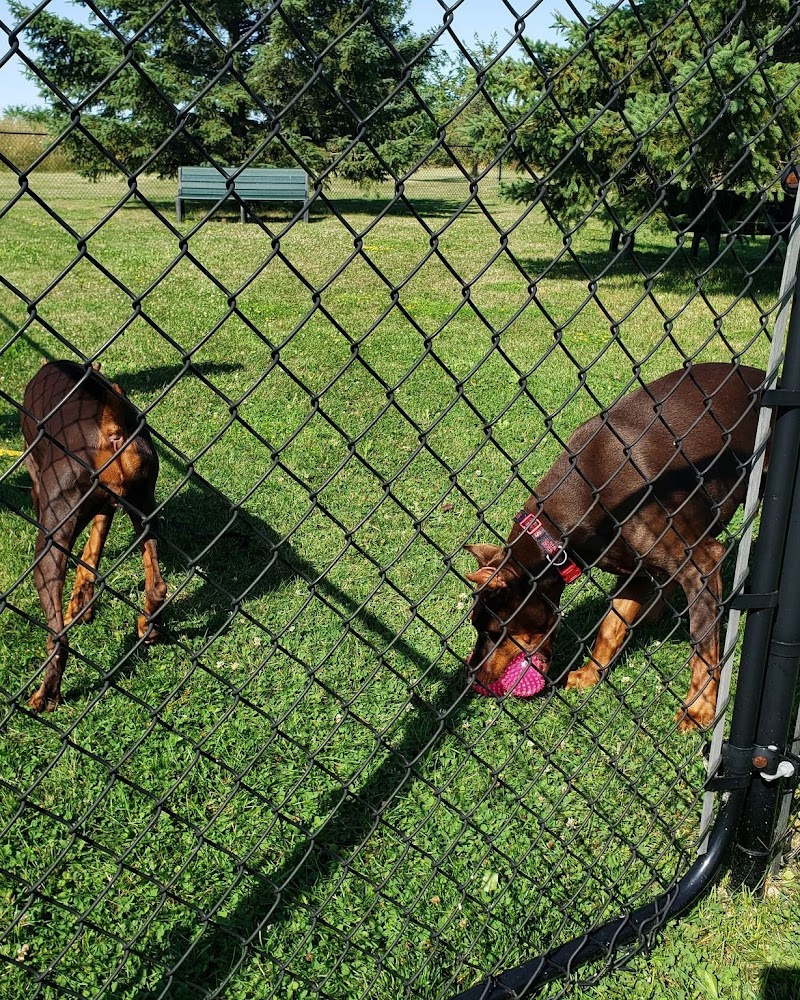 Dog Park at Ken Knapp Ford dog park in Lakeshore, Ontario