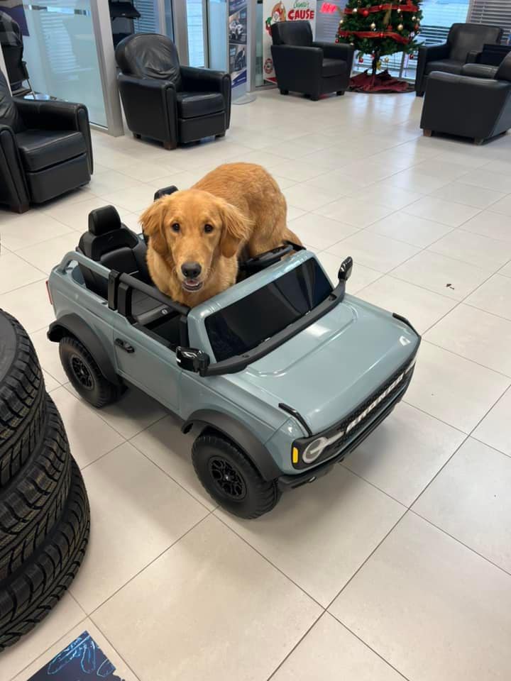 Dog Park at Ken Knapp Ford dog park in Lakeshore, Ontario