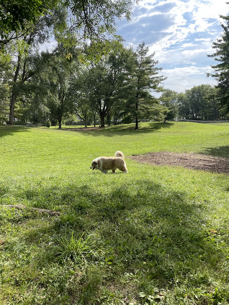 Quinte Dog Park dog park in Belleville, Ontario