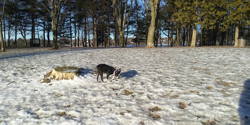 Quinte Dog Park dog park in Belleville, Ontario