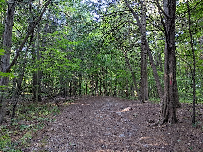 Kinsmen Dog Park dog park in Quinte West, Ontario