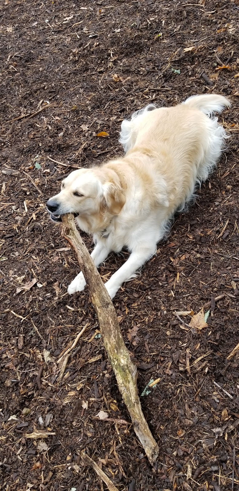 Kinsmen Dog Park dog park in Quinte West, Ontario