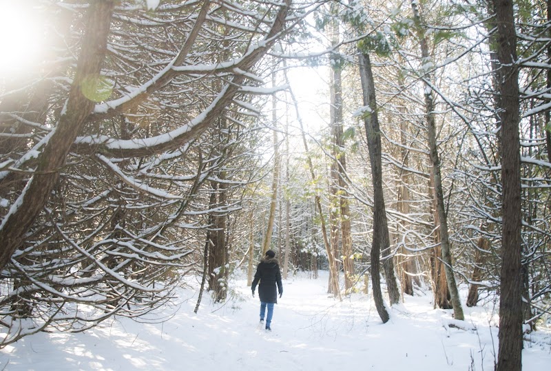 Kinsmen Dog Park dog park in Quinte West, Ontario
