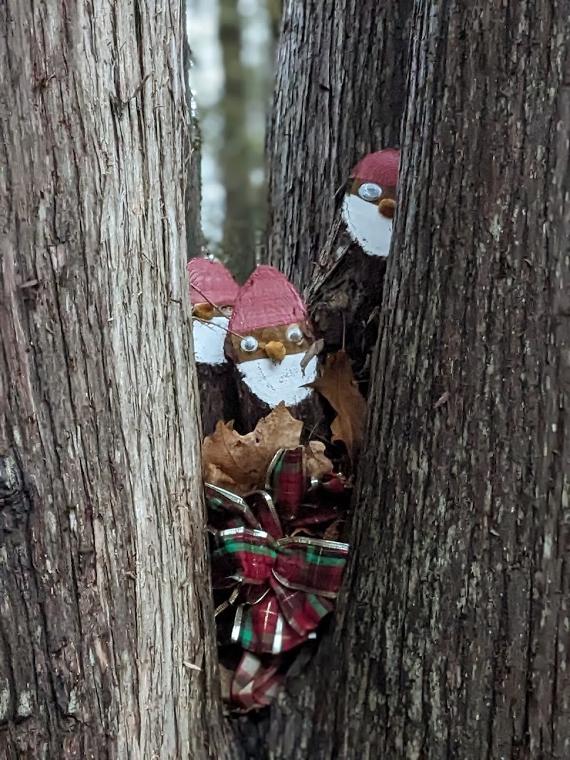 Hanna Park & Dog Park dog park in Quinte West, Ontario