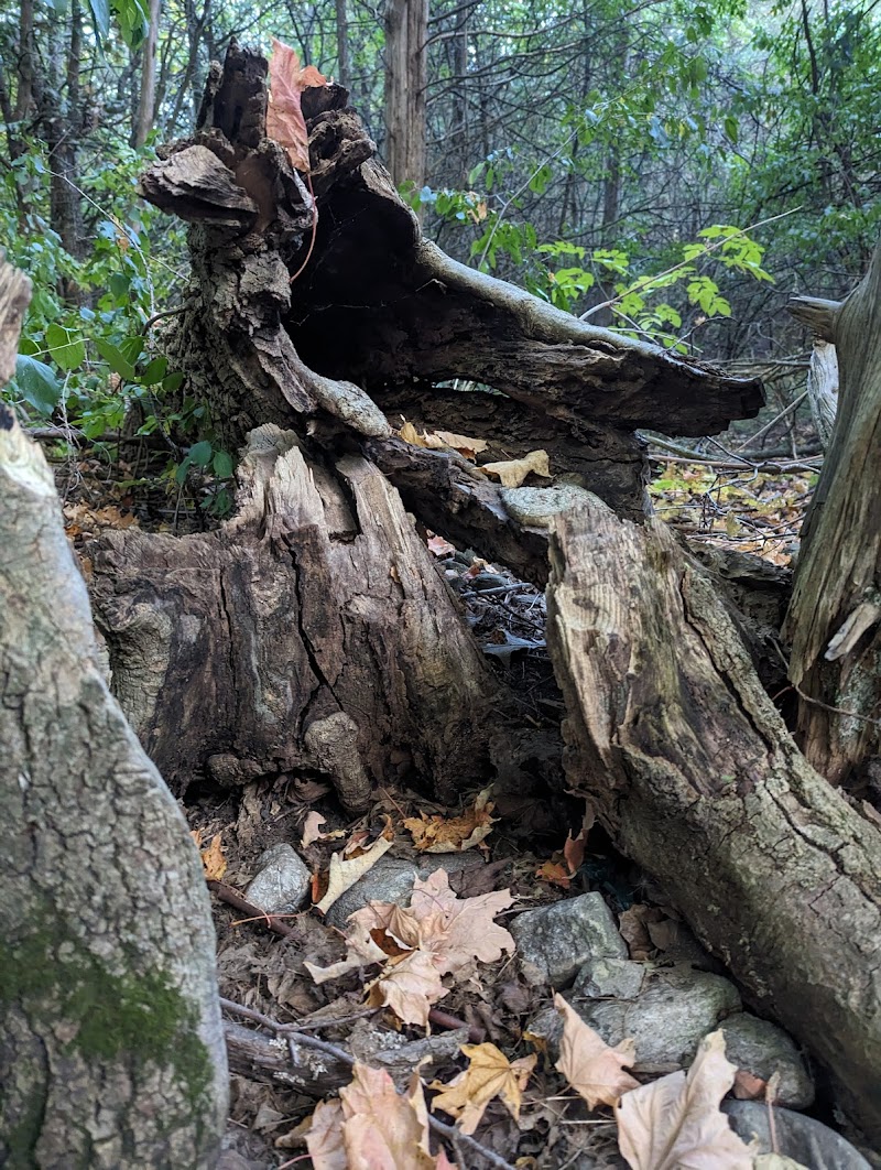 Hanna Park & Dog Park dog park in Quinte West, Ontario