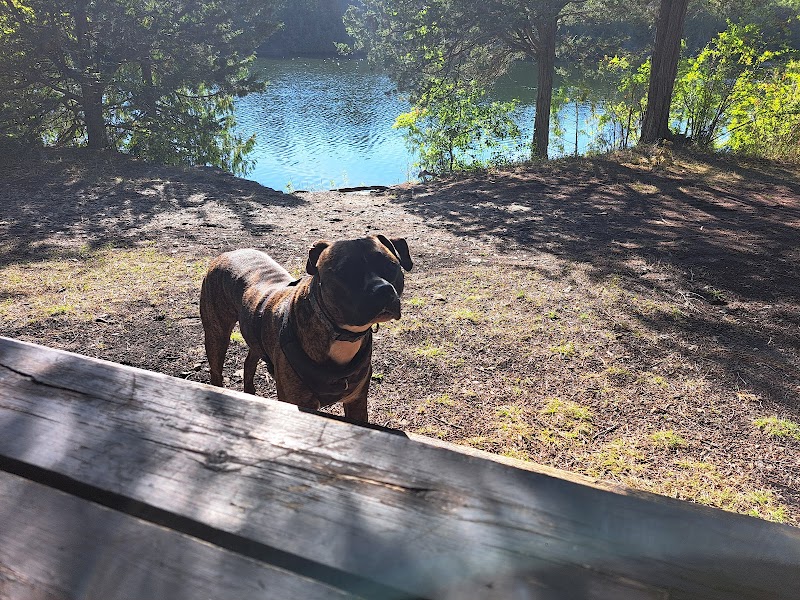 Hanna Park & Dog Park dog park in Quinte West, Ontario