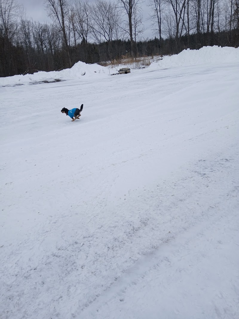 Marmora Dog Park dog park in Marmora, Ontario
