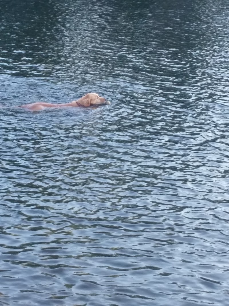 Marmora Dog Park dog park in Marmora, Ontario