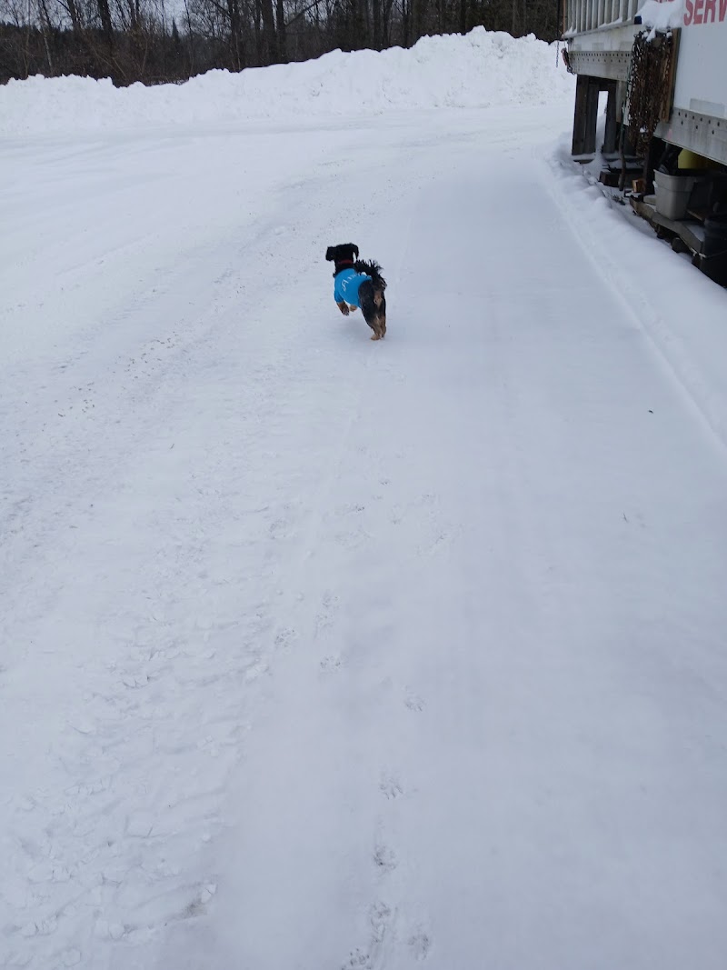 Marmora Dog Park dog park in Marmora, Ontario