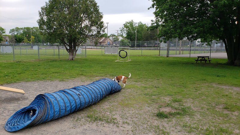 Marmora Dog Park dog park in Marmora, Ontario