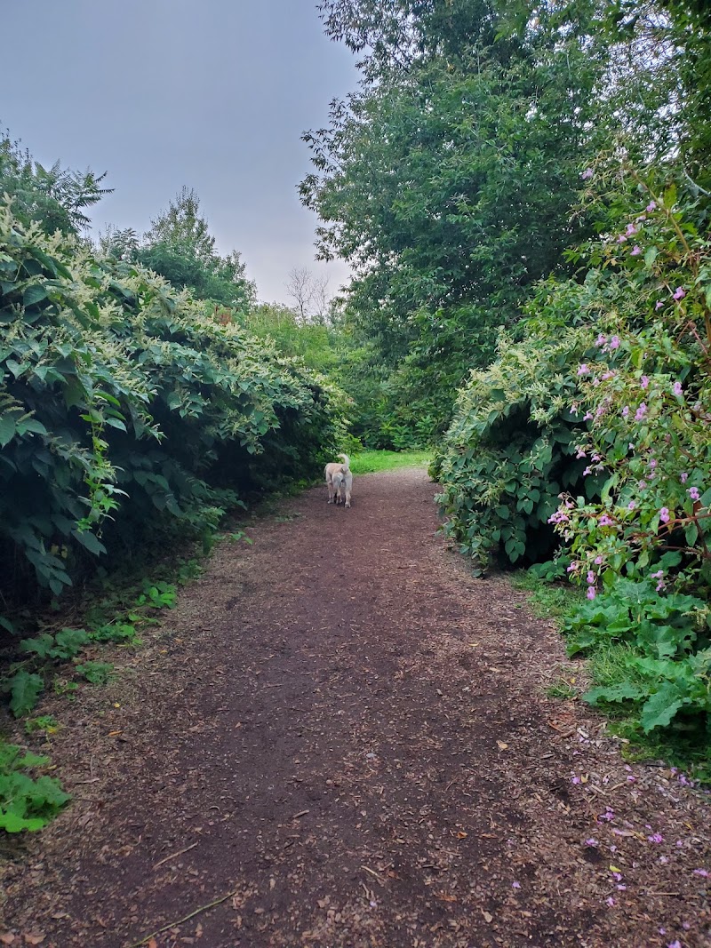 Cobourg Dog Park dog park in Cobourg, Ontario