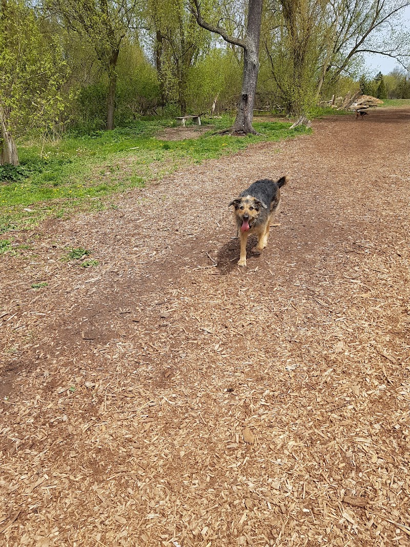 Cobourg Dog Park dog park in Cobourg, Ontario