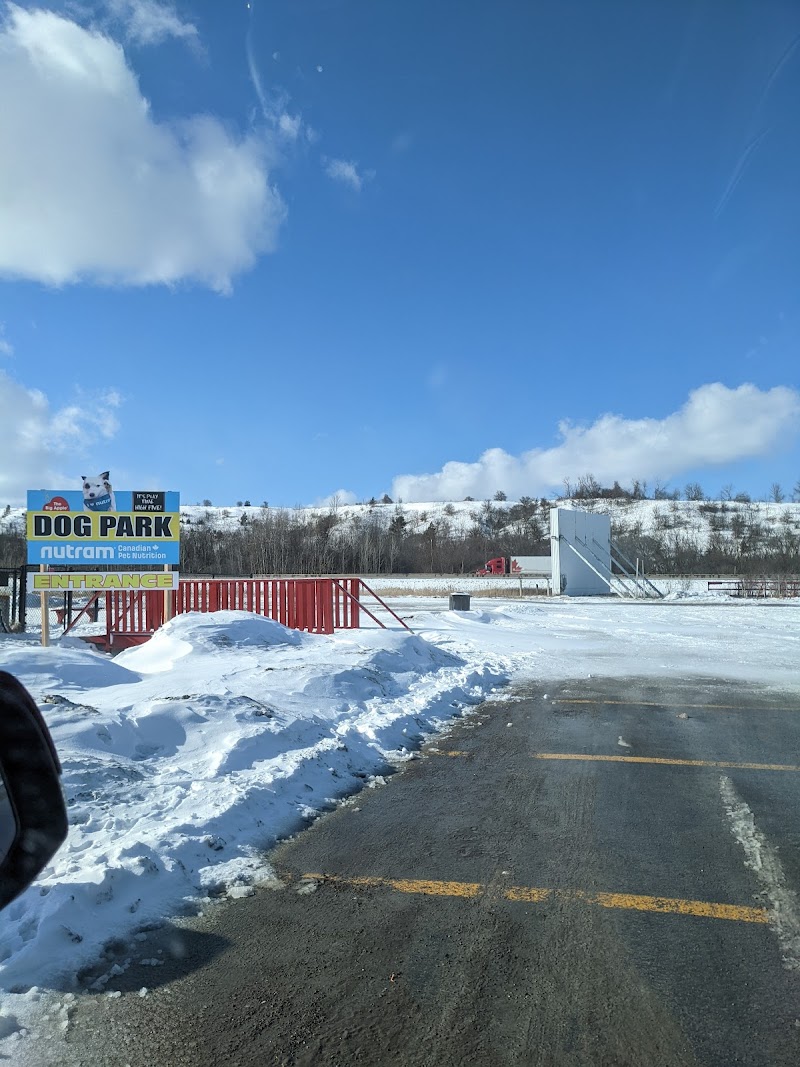 Dog Park at The Big Apple dog park in Cramahe, Ontario