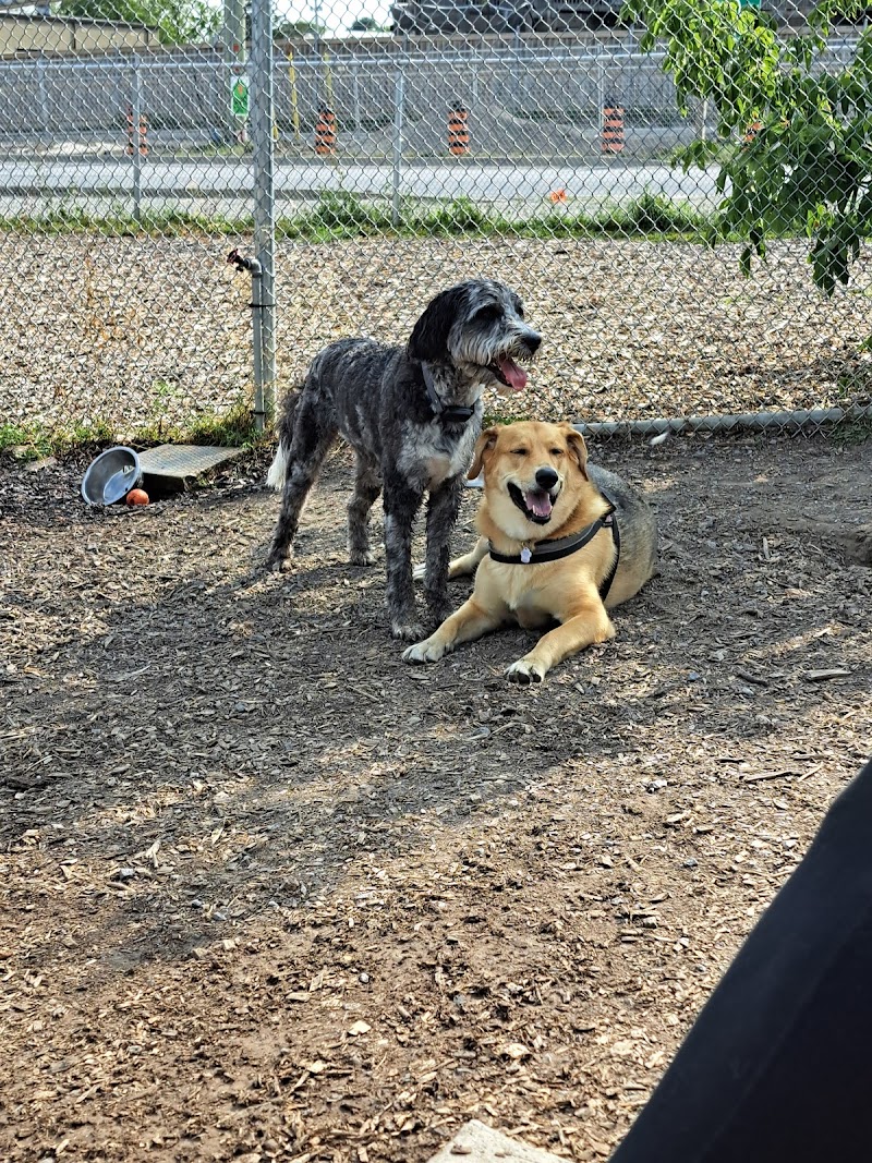 Thurlow Dog Park dog park in Belleville, Ontario