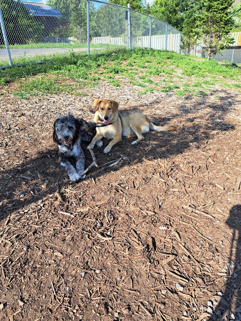 Thurlow Dog Park dog park in Belleville, Ontario