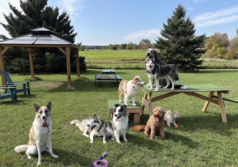 Country Canines Play Park - Halton Hills dog park in Halton Hills, Ontario
