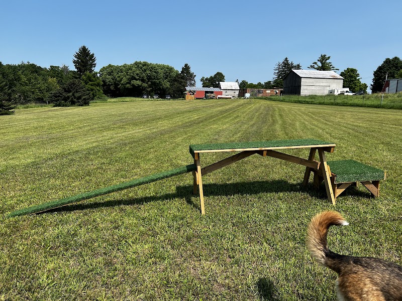 Country Canines Play Park - Halton Hills dog park in Halton Hills, Ontario