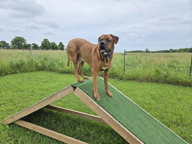 Country Canines Play Park - Halton Hills dog park in Halton Hills, Ontario