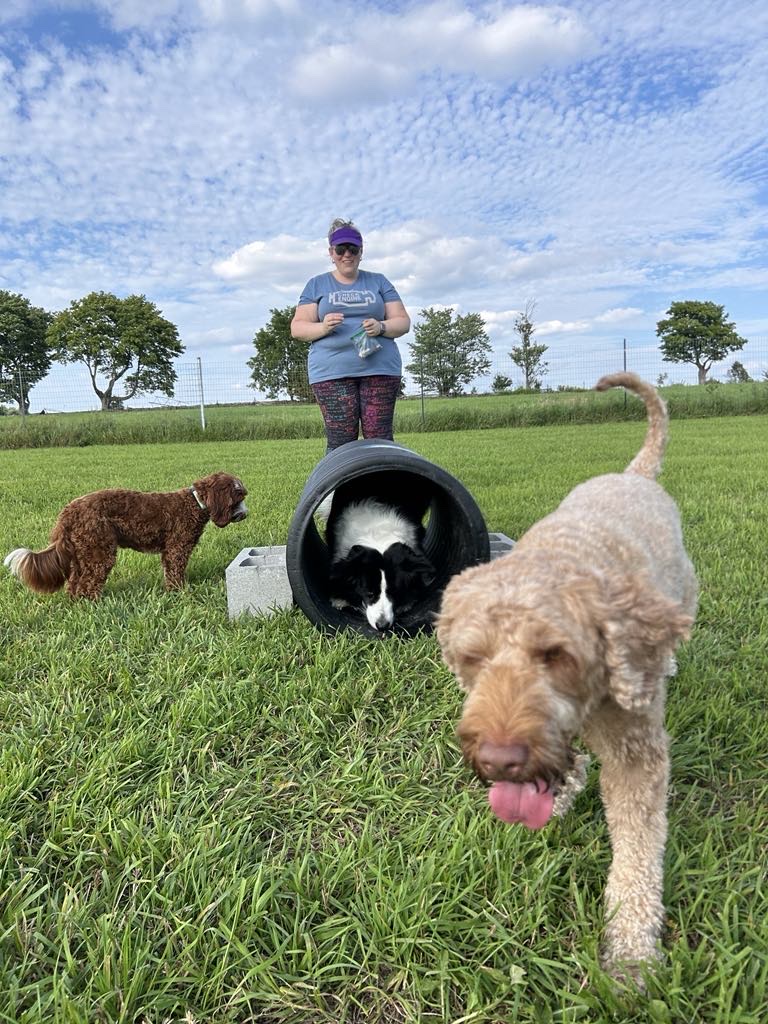 Country Canines Play Park - Halton Hills dog park in Halton Hills, Ontario