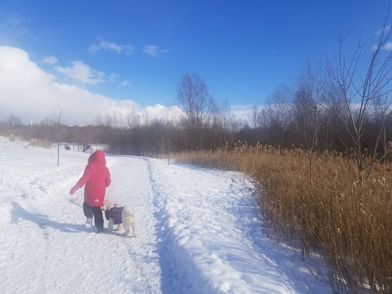 Georgina Leash Free Dog Park dog park in Keswick, Ontario