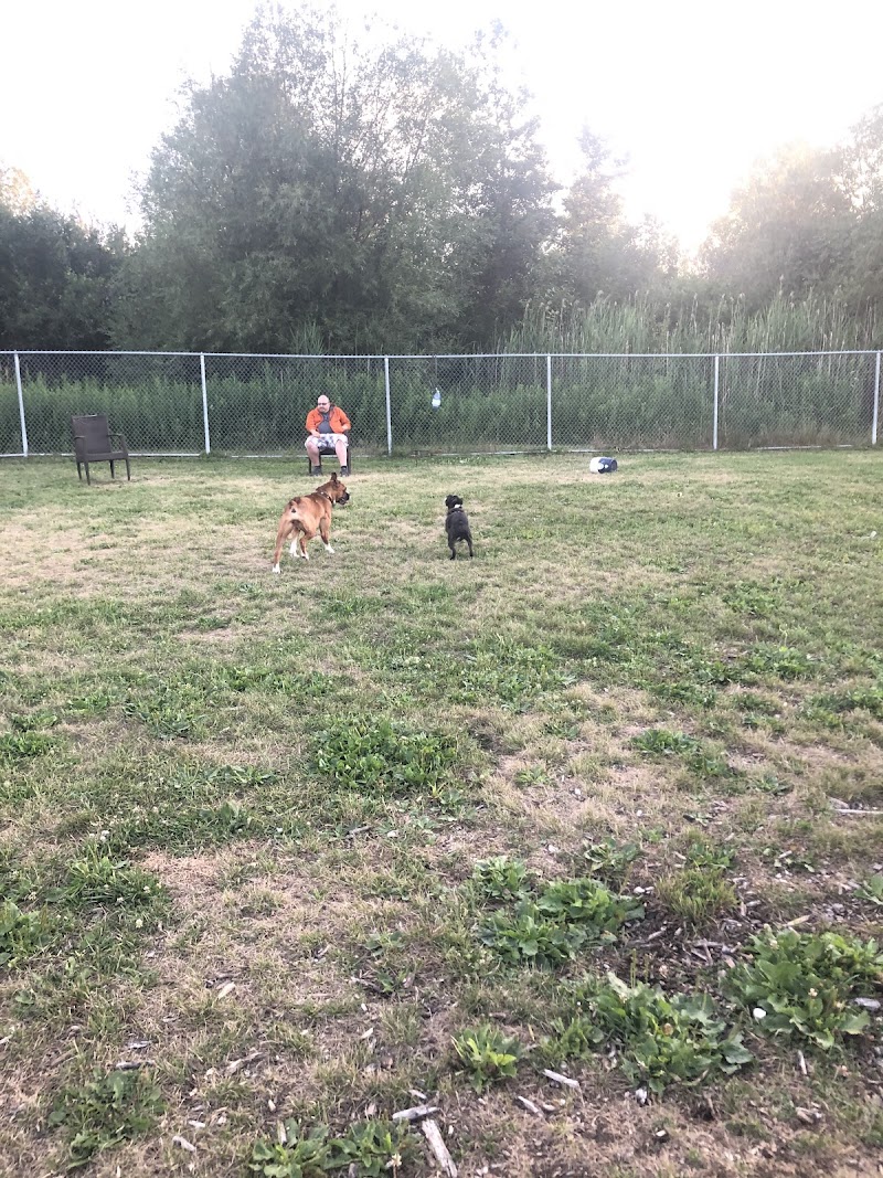 Georgina Leash Free Dog Park dog park in Keswick, Ontario