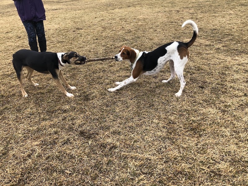 Georgina Leash Free Dog Park dog park in Keswick, Ontario