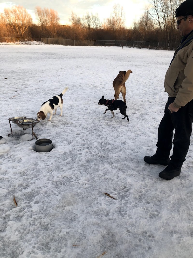 Georgina Leash Free Dog Park dog park in Keswick, Ontario